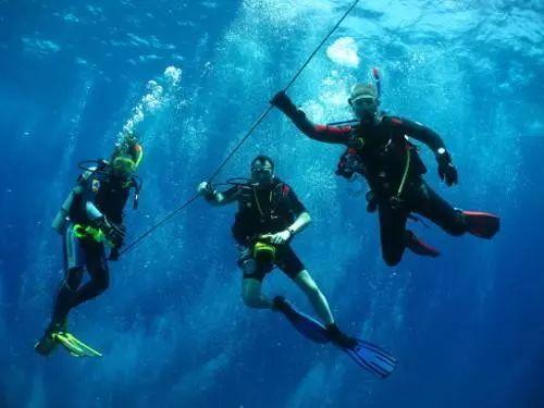 ≤24米!浦江江南商务新区一地块即将拍卖…